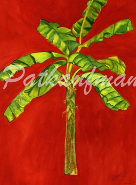 tropical gardens and flora paintings I Banana