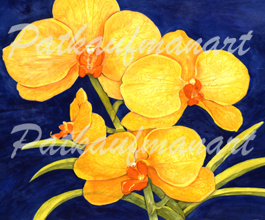 tropical gardens and flora paintings Orchids II