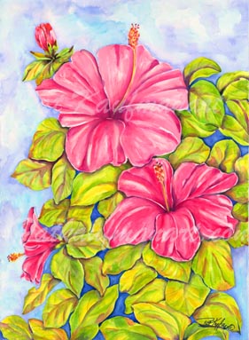 tropical gardens and flora paintings Pink Petal Hibiscus II