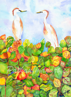 tropical wild life paintings Egrets and Sea Grapes
