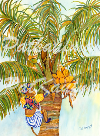 tropical wild life paintings Monkey Coconut