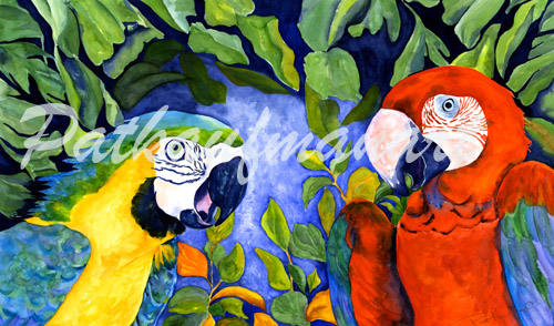 tropical wild life paintings Talking Heads